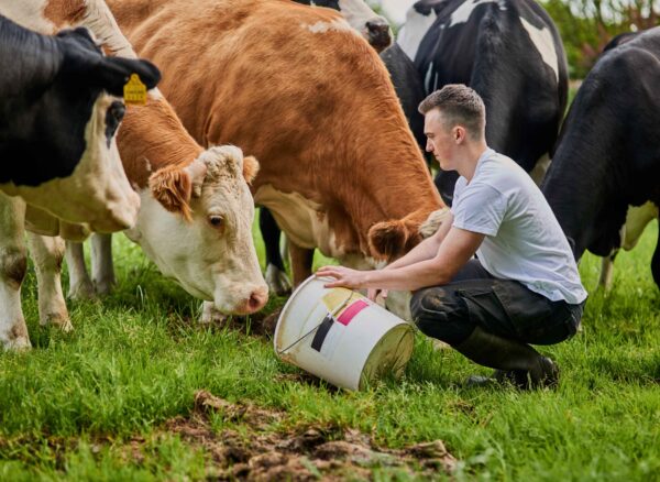 young-man-feeding-cattle-in-a-grassy-field-2026-03-25-07-05-58-utc (1) young-man-feeding-cattle-in-a-grassy-field-2026-03-25-07-05-58-utc (1)